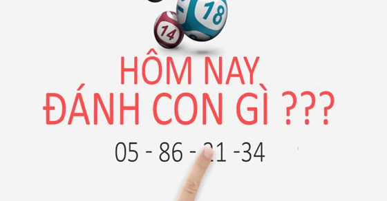 đề về đầu 7